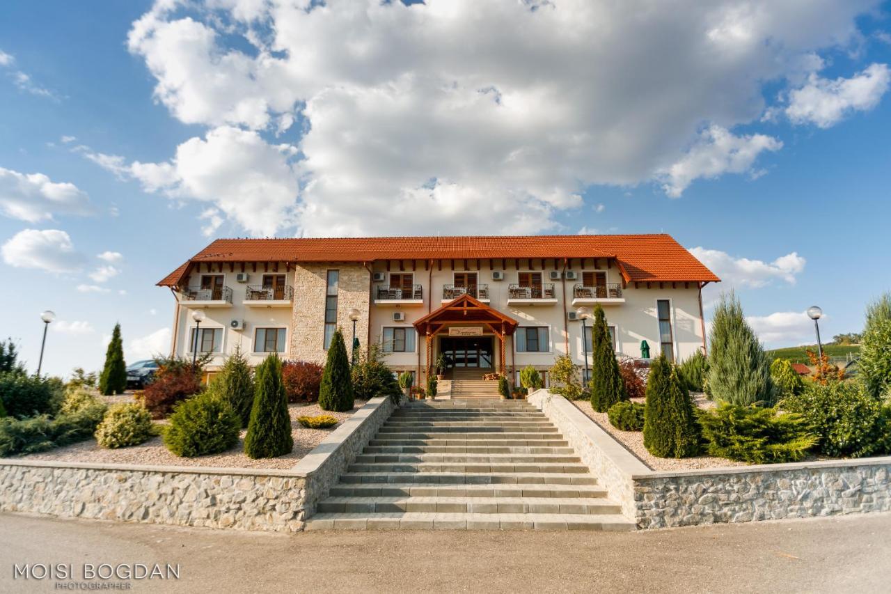 Pensiunea Kemsilvanum Fort Silvan Camar Exterior photo